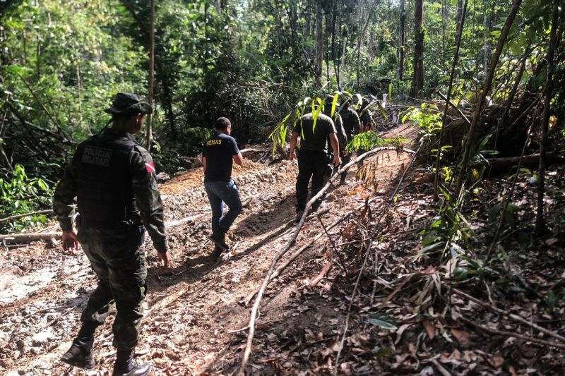 Combate a ilícitos ambientais